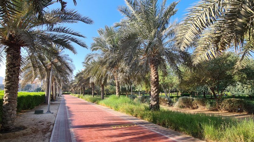 A picturesque path lined with tall palm trees on either side, leading through lush parkland close to luxury apartment complexes in Dubai, with green grass and clear blue skies in the background.