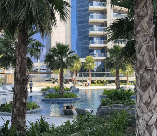 A serene urban oasis with palm trees and a rock-lined reflecting pool, surrounded by modern Damac Paramount towers, where people lounge and enjoy the peaceful surroundings.